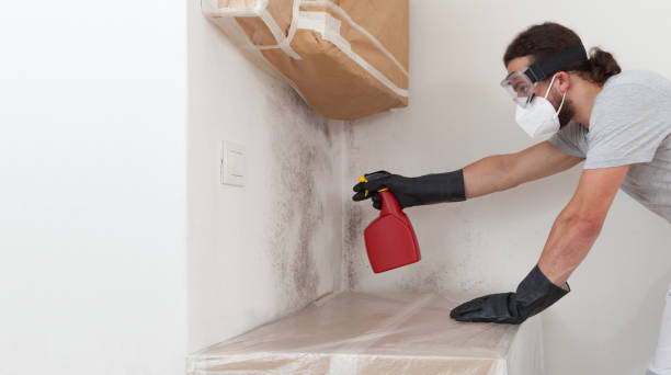 Professional Attic Mold Remediation technician working in Ashland, OR