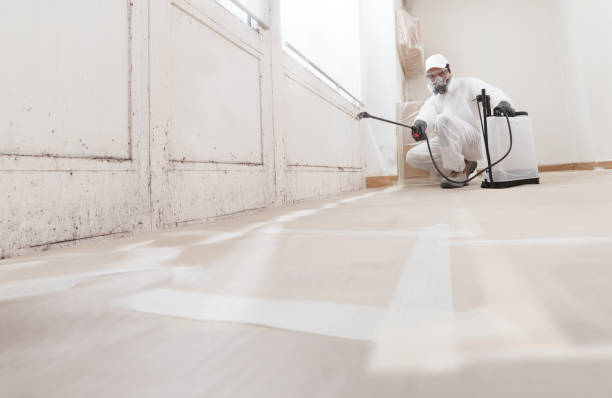 24/7 Emergency Attic Mold Remediation experts in Ashland, OR