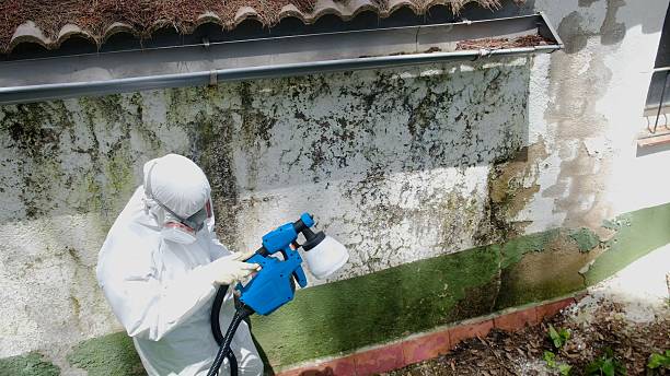 Top rated local Attic Mold Remediation specialists in Ashland, OR